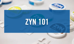 Zyn 101